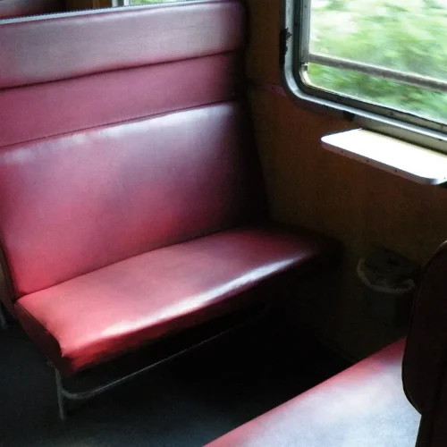 Image d’illustration : sièges en similicuir d’un train régional. Photo Flyz1, CC BY-SA 4.0, via Wikimedia Commons